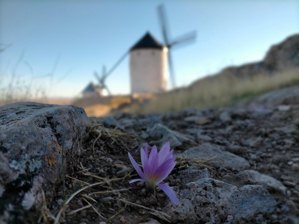 Azafran Consuegra ξενώνας Εξωτερικό φωτογραφία